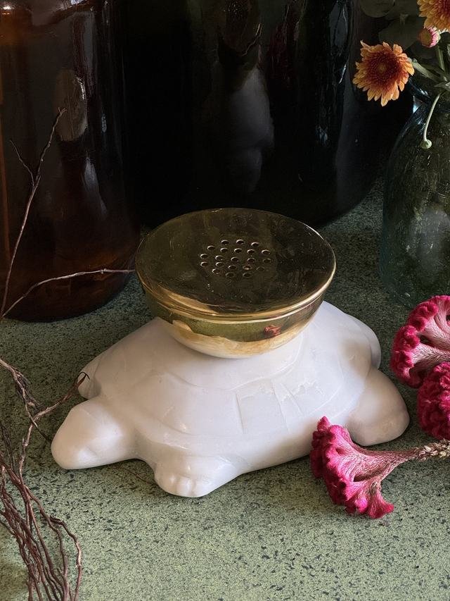 Tortoise Aroma Burner