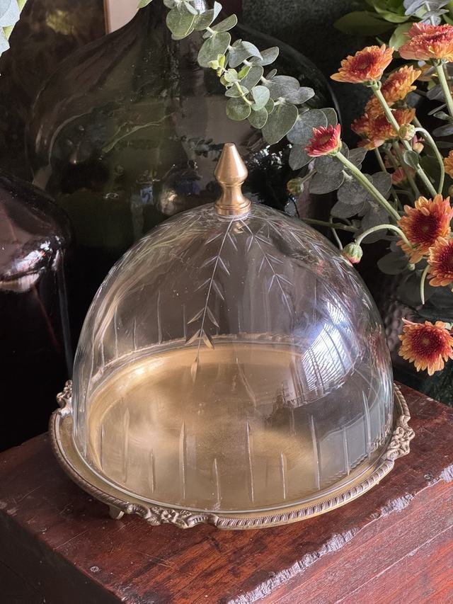 Noor Cloche
